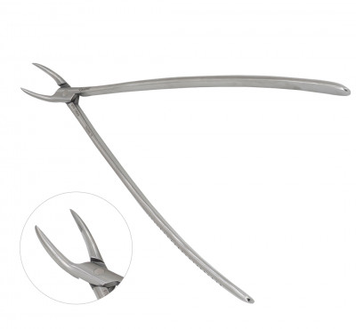 Root Fragment Forceps 17"