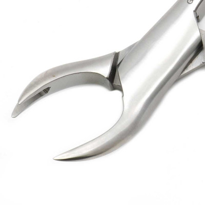 Three Prong Forceps 11"