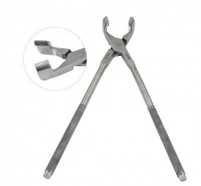 Molar Extraction Forceps 19"