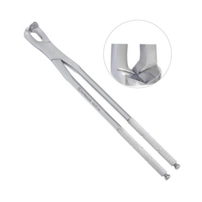 Molar Spreader  20" Stainless Steel