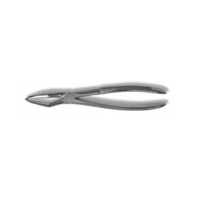 Fragment Forceps  8" Long  Stainless Steel