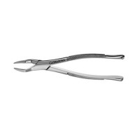 American Pattern Forceps Incisors