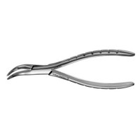 American Pattern Forceps - Roots