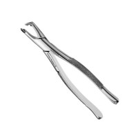 American Pattern Forceps Wisdom