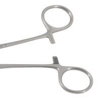 Babcock Intestinal Forceps