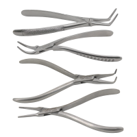 Dental Root Extraction Forceps
