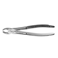 English Pattern Forceps Canine