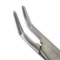 Equine Fragment Forceps 19"