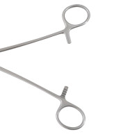 Foerster Sponge Forceps Straight
