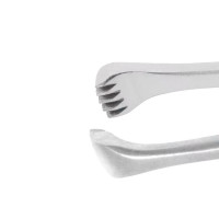 Allis Tissue Forceps 4x5 Teeth, 7 1/2"