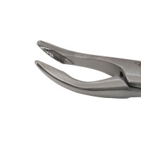 Stellbrink Rongeur 6 3/4", 2mm Tip 30 Degree Angle