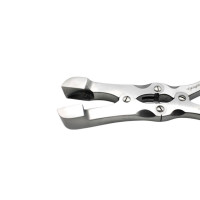 Sauerbruch Rongeur 12" Square 20mm, Double Action