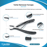 Tartar Remover Forceps 4 3/4"