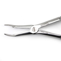 Dental Root Extraction Forceps No. 46L