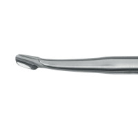 Winged Elevator Tip 6mm 6" Standard Handle Curved