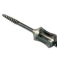 Dental Screws Small 34mm