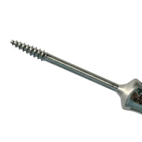 Dental Screws Large 45mm