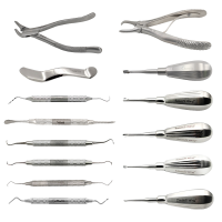 General Purpose Dental Set Short Handle