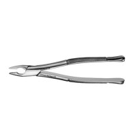 American Forceps, Upper Anteriors No. 1 AF