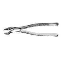 American Extraction Forceps, Upper Molar No. 10S