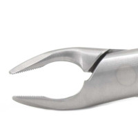 American Forceps Apical, Upper Premolar No. 150AF