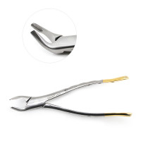 American Forceps Apical, Lower No. 151AF