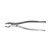 American Forceps, Upper Wisdom No. 210S