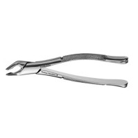 American Extraction Forceps, Lower Universal