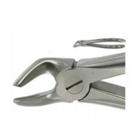 English Extracting Forceps, Lower Premolars No. 8