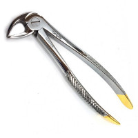 English Extraction Forceps, Lower Roots, Long Beak No. 33M