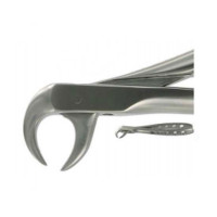 English Extraction Forceps, Lower Molars No. 86C