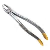 English Extraction Forceps, Upper Molars, Left No. 95