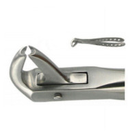 English Extraction Forceps, Lower Canines No. 169