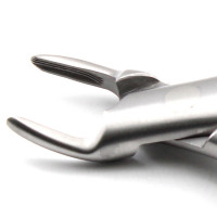 Mini 150 Dental Extraction Forceps