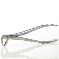 Bird Beak Dental Extraction Forceps