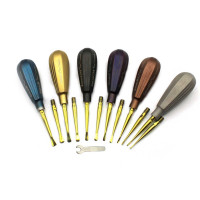 GLux Luxating Elevator Removable Titanium Tip - Color Coated, Set of 6