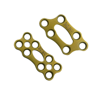 Micro Bone Plates - Gold