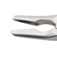 Ruskin Rongeur Curved