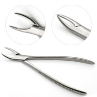 Fragment Forceps 10 1/2"