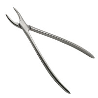 Root Fragment Forceps 10 1/2"