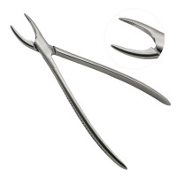 Root Fragment Forceps 10 1/2"