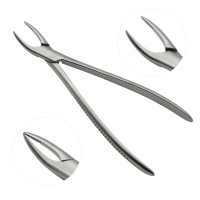 Root Fragment Forceps 10 1/2"