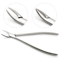 Root Fragment Forceps 13"