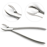 Three Prong Forceps 11"