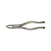 Wolf Tooth Forceps 7" Long Stainless Steel