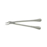 Incisor Forcep  Bulb Handle 19"