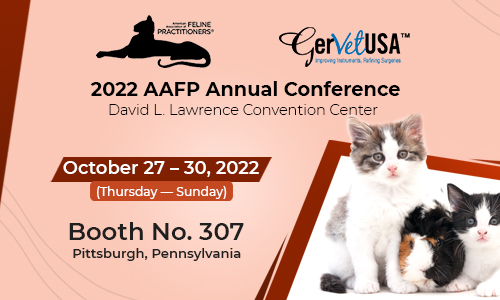 Improve Feline Care By Joining AAFP Annual Conference 2022