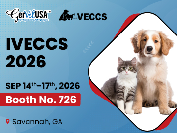 IVECCS 2026