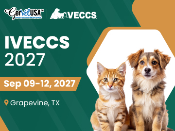 IVECCS 2027